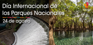 Descubre la riqueza natural que guardan los parques nacionales michoacanos: Sectur