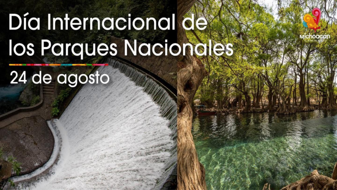 imagen_2025-08-24_132805848