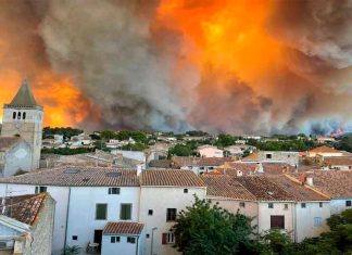 #VIDEO || Incendio forestal “apocalíptico” arrasa el sur de Francia
