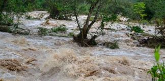 #VIDEO || El agua siempre encuentra su camino: la furia de la naturaleza despierta en Uttarkashi