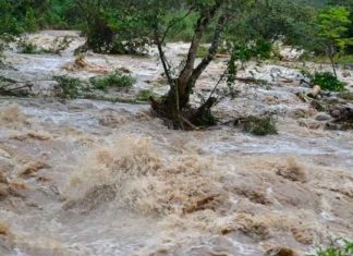#VIDEO || El agua siempre encuentra su camino: la furia de la naturaleza despierta en Uttarkashi