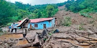 #VIDEO || Impactantes inundaciones en Dehradun: animales arrastrados y autos flotando en plena ciudad