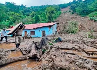 #VIDEO || Impactantes inundaciones en Dehradun: animales arrastrados y autos flotando en plena ciudad