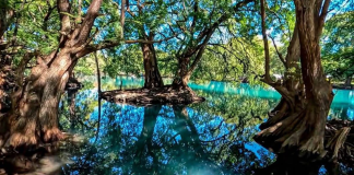 Escápate este verano al lago de Camécuaro, joya natural de Michoacán: Sectur
