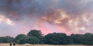 #VIDEO || Incendio forestal en Molezuelas de la Carballeda Zamora