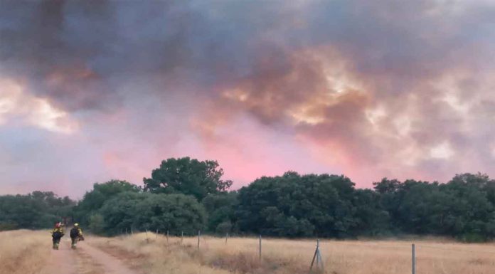 #VIDEO || Incendio forestal en Molezuelas de la Carballeda Zamora