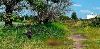 Hallan cuerpo con huellas de violencia en un predio de Zamora