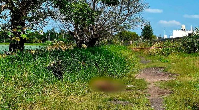 Hallan cuerpo con huellas de violencia en un predio de Zamora
