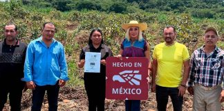 Omega Vázquez entrega en Taretán la Marca Certificadora “Hecho en México” a productores de guayaba