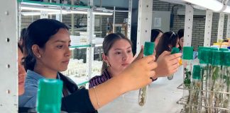 Nuevo Parque Industrial impulsará empleo para talento michoacano: Iemsysem