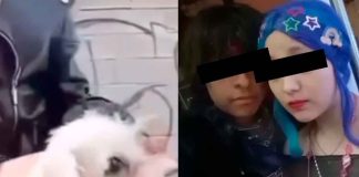 #México: Detienen a dos menores de edad que habrían matado a un perrito para sacrificio
