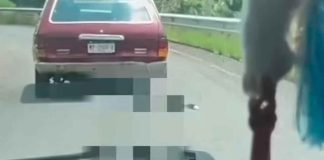 Fiscalía General realiza actuaciones por hechos relacionados con arrastre de un ejemplar canino en carretera Quiroga-Morelia