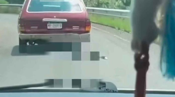 #VIDEO | Captan a mujeres arrastrando a un perro con su auto en la Quiroga-Morelia