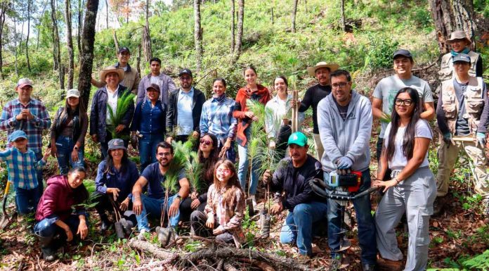 Consejo Ciudadano de Morelia encabeza forestación en San Miguel del Monte