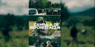 #VIDEO Así se llevó a cabo la reforestación masiva en Carapan