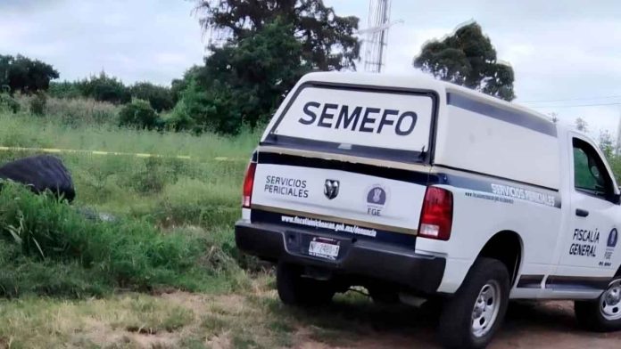 semefo