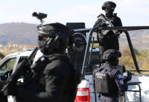 SSP combate extorsión contra sectores aguacatero y citrícola de Michoacán