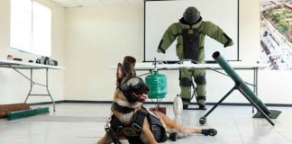 Agrupamiento antiexplosivos de la SSP, un equipo de élite a nivel nacional