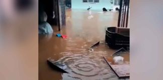 #VIDEO Al menos 24 viviendas sufren daños tras tromba en Purépero