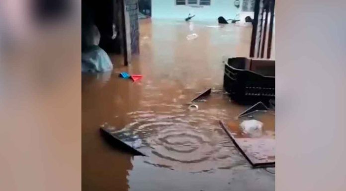 #VIDEO Al menos 24 viviendas sufren daños tras tromba en Purépero