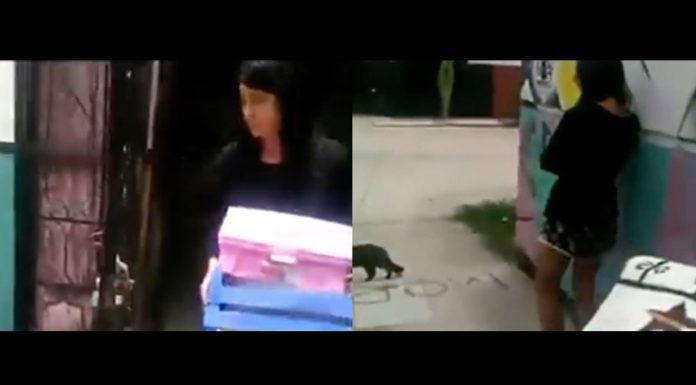 #VIDEO #VIRAL | Mujer tenía 5 novios a la vez; su novio la descubre, la corre de casa y la exhibe en redes