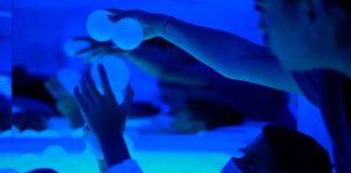 Con visión por Morelia, Alfonso Martínez impulsa inclusión y atención especializada