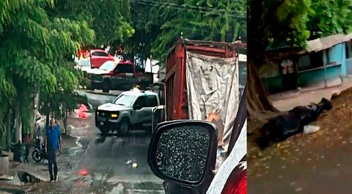 Encuentran cadáver embolsado en la colonia Vista Hermosa, Apatzingán