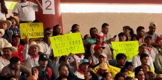 Exigen productores de grano precio justo en Michoacán