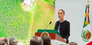 Entre emociones y aplausos recurrentes, transcurrió el informe de Claudia Sheinbaum.