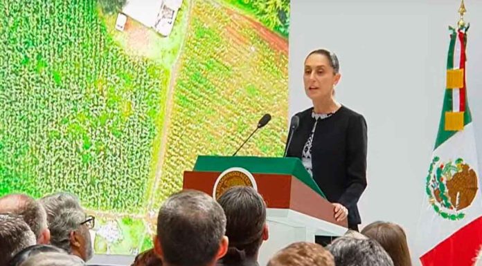 Entre emociones y aplausos recurrentes, transcurrió el informe de Claudia Sheinbaum.