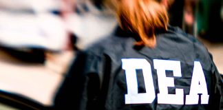 DEA incauta grandes cantidades de drogas del CJNG en operación de cinco días