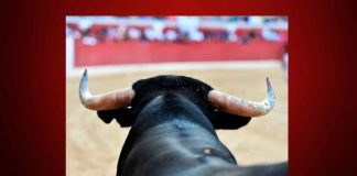 Juez federal niega amparo para corrida de toros