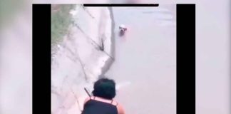 VIDEO || Mujer se convierte en heroína al rescatar a dos perritos arrastrados por un arroyo