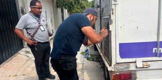 Rescata FGE a dos caninos en Morelia, tras denuncia por maltrato animal