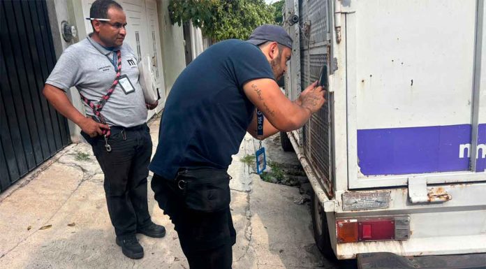 Rescata FGE a dos caninos en Morelia, tras denuncia por maltrato animal