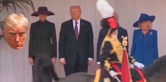 #VIDEO || El caballo que “atacó” a Trump y dejó a todos boquiabiertos