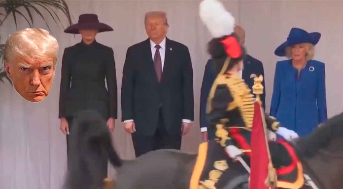 #VIDEO || El caballo que “atacó” a Trump y dejó a todos boquiabiertos