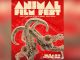 Conoce el programa del ANIMAL Film Fest 2025, Festival Mexicano de Cine de Horror