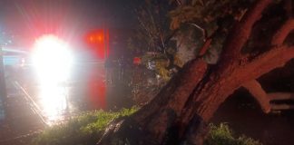 Afectaciones tras fuerte lluvia en La Piedad