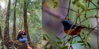 Inicia el Festival de Aves en Michoacán: Sectur