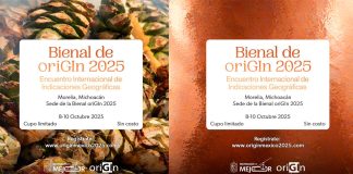 Conoce las actividades de la Bienal oriGIn 2025 en Morelia: Casart