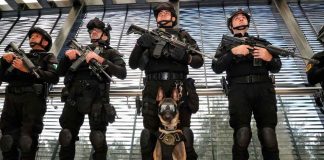 Binomios caninos de la Guardia Civil, aliados en el combate a la delincuencia: SSP