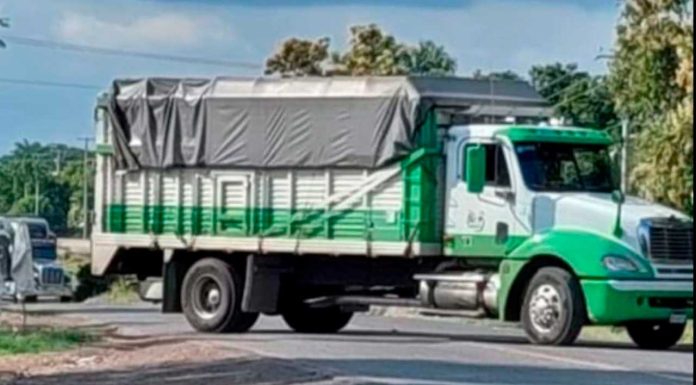 Tras persecución de vehículo con gente armada, criminales generan bloqueos en Buenavista