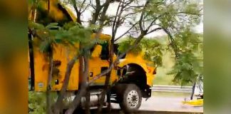 #VIDEO | Tractocamión choca contra árbol en la Morelia-Salamanca