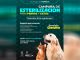 SSM ofrece jornada de esterilización gratuita de perros y gatos en Morelia
