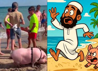#VIDEO || Pareja lleva cerdo a la playa para ahuyentar a las bandas musulmanes
