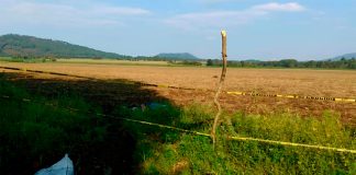 Hallan c4dáv3r de un hombre joven en camino rural de Charapan