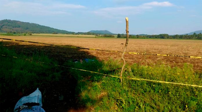 Hallan c4dáv3r de un hombre joven en camino rural de Charapan