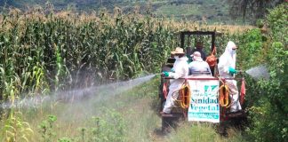 Gobierno de Morelia apoya a productores agrícolas