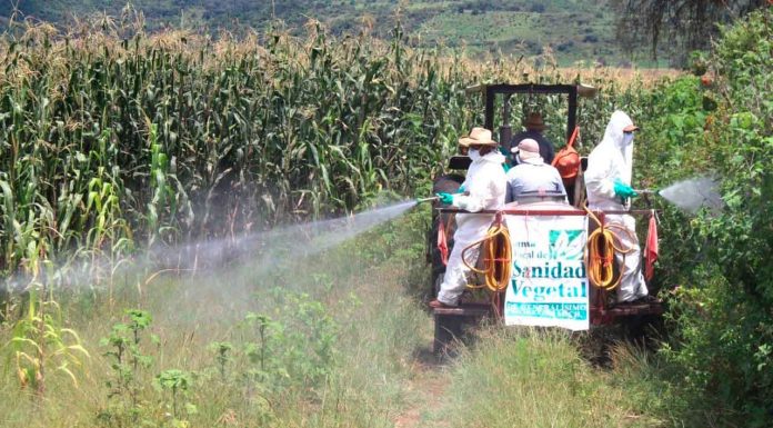 Gobierno de Morelia apoya a productores agrícolas